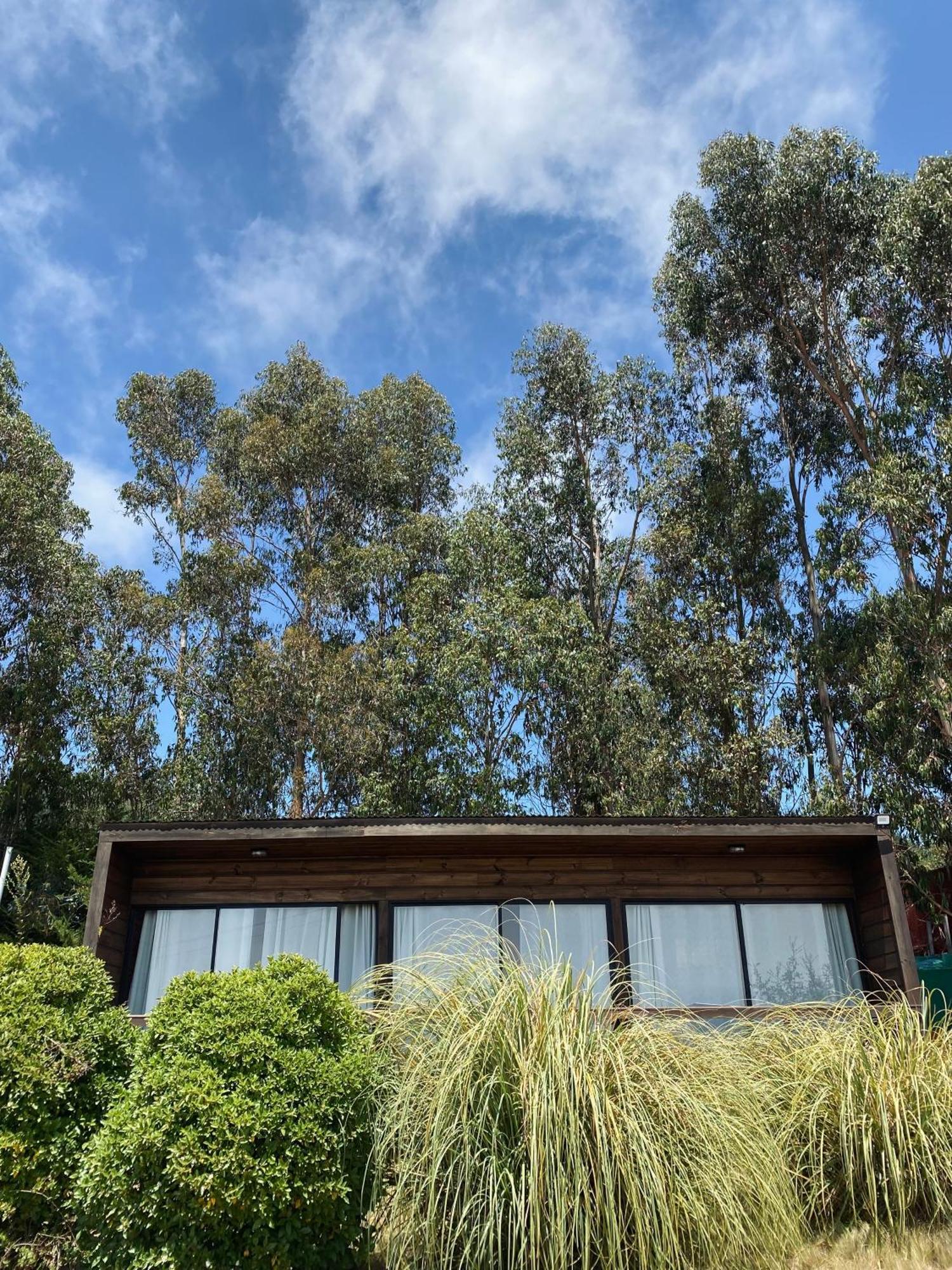 Cabañas Lovel-Van Curanipe Exterior foto