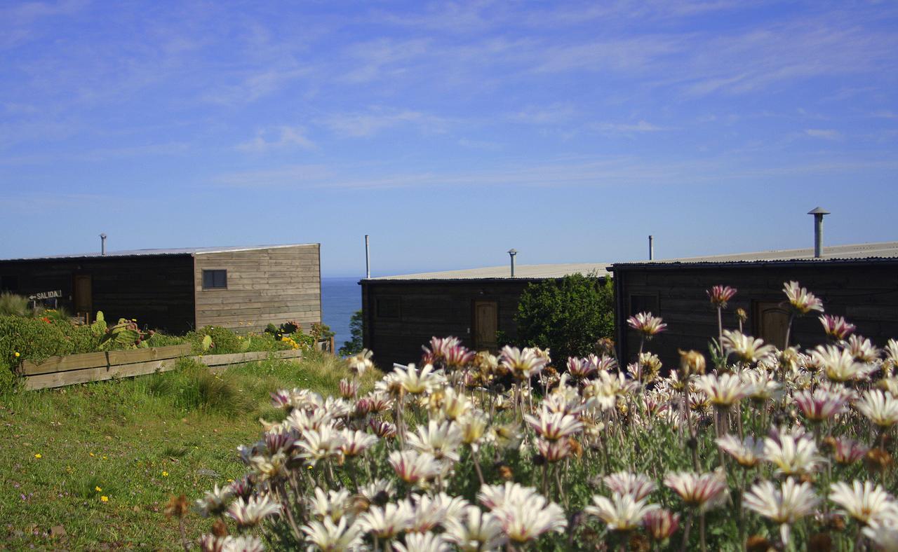 Cabañas Lovel-Van Curanipe Exterior foto